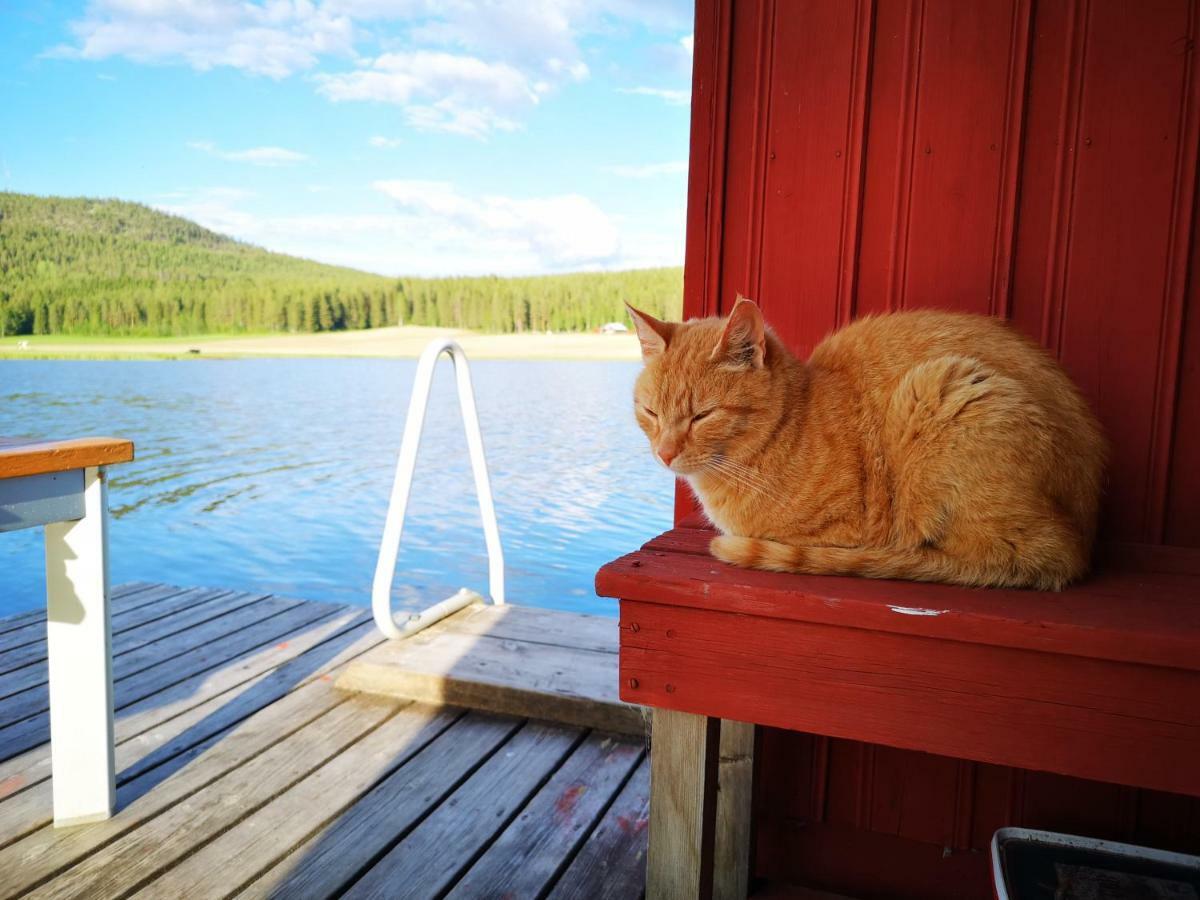 Skatauddens Lantgard Villa Älvsbyn Eksteriør bilde